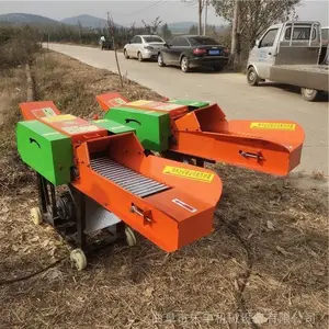 ţ������ա�ݻ� �����ա����˿�� ��ֳ����ա�ݻ�