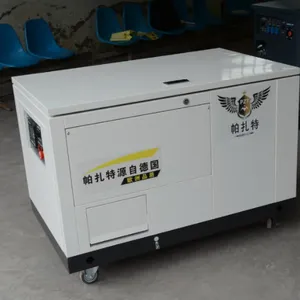 帕扎特10kw汽油发电机220vPT10SQ