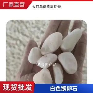 供应机制鹅卵石白石子园林造景白色洗米石 水刷石子