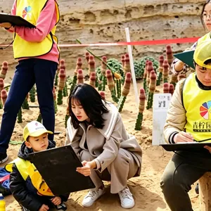 上合文旅|乡村研学实践基地场地规划设计|老区红色资源整合 劳动教育场地标准化布局方案