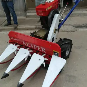 ���������ո�� ���������ո����������