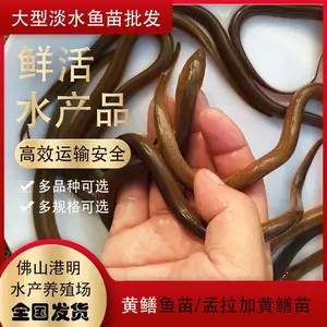 �������ʲô����-����ź����� ����ˮ��������Ӧ������ Ѫ������