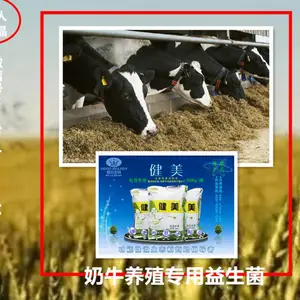 奶牛降低氨臭用什么奶牛养殖益生素主要功能