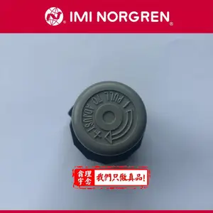 V07-200-NNKA Ӣ��NORGREN������ NNKG 6.9barй�ŷ�