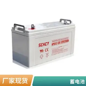 SEHEY��������NPG/SH120-12 12V120AHֱ���� EPS UPS��Դ ����ר��