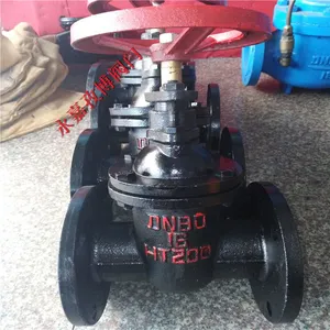 浙江温州铸铁闸阀 Z45T-16 铜芯铜杆法兰闸阀 DN100 污水管道阀门 Z41T-16