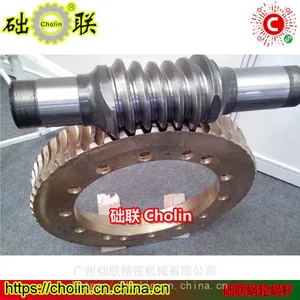 cholin���������ϸ� ����С�������ϸ�