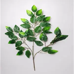 提供证书阻燃植物阻燃桃花阻燃榕树叶防火植物防火阻燃绿植防火布阻燃樱花