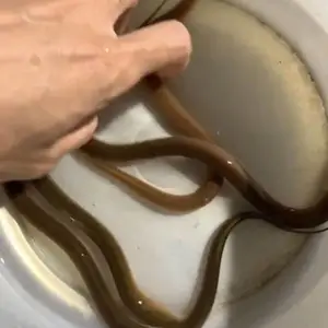 ������ �����ֻ� ˮ��ֱ�� ���ڻ����� ������ҵ�ṩ����֧��