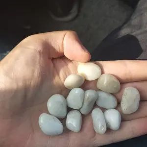 ��Ӧ���׹��ɫ1-2����-***�׹��ɫ�껨ʯ