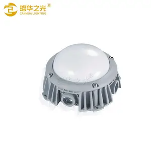 璨华照明SK-DGY-C15铝底点光源户外防水楼宇桥梁幕墙灯