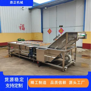 不锈钢果蔬清洗机 土豆清洗线 山楂气泡清洗设备猪蹄毛辊清洗机
