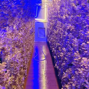 上海新款菌菇方舱厂商 上海芾驰智能科技供应