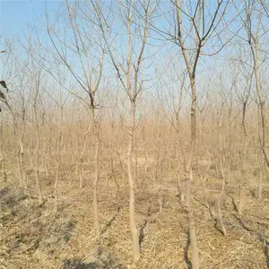 �ؾ�12�����������۸����Ǯһ�ñ���420Ԫ�е����������