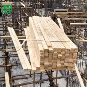 ����ľ����ľ�� �ӱ��׹�ľ������ ��ɼ��ľ������Ǯһľ ��Ҷ����ľ����Ǯһ��