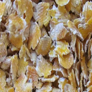 �๦�ܻƶ�ѹ��� �๦����ʳ����� �����Զ����༷����긻��Ӧ