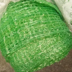 ������������ ������ǧĿ������ ������������