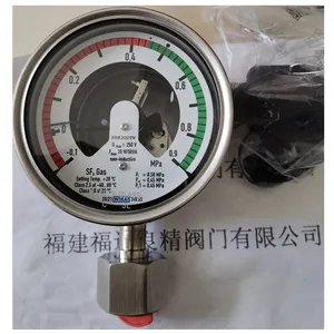 ����SF6�ܶ�΢ˮ����� 233.52.100��GDM-100)LT(-40...+60��)
