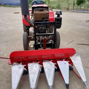 ����С���ո�� ��έ����Ʒ��ɹ�� �ո�һ�ߵ��ո��