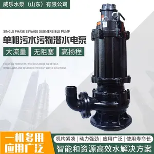 单相污水污物潜水电泵50WQ12-20-0.75