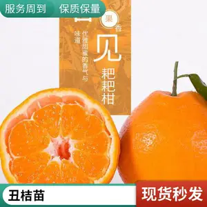 �ļ����̸����� 1����С�� �������� ֧�ֶ��� ���ҹ�Ӧ