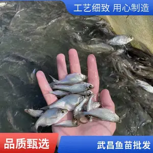 ���� ����������� �ۺ���ָ�� ��ˮ����ֳ ��ҵ�������� ��ˮ��