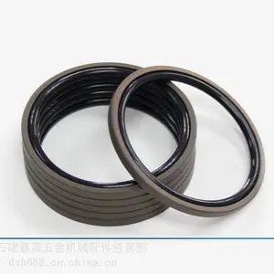 广东东晟孔用格莱圈生产厂家