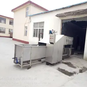 大姜清洗机厂家 生姜清洗机