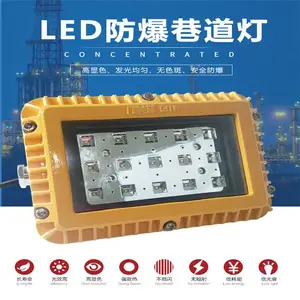 100W��������� ��ú���������� DGS100/127L���ø�����LED�����