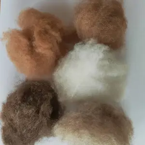销售驼毛被 驼毛絮片质量好