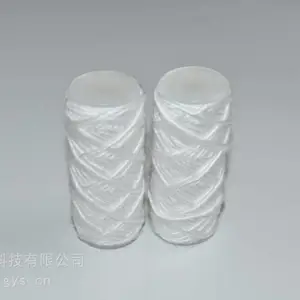 GN03D汽水取样仪表前端精密低压过滤器PP棉线绕滤芯