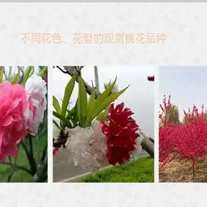 �������� �� �� Ǯһ��������5���ִ��һ���һ��50Ԫ
