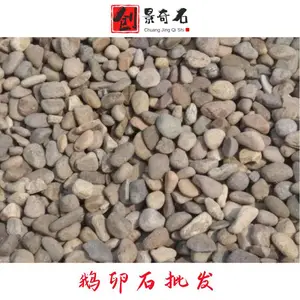 �㶫���ݶ���ʯ��Ӧ-����ʯ��·����-�㶫���ݶ���ʯ���Χ��