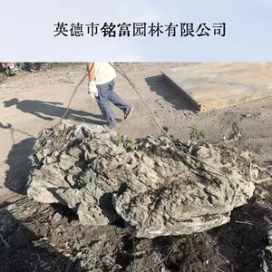 广 东大英石厂家 出口韩国园林造景英石 孔洞造型大英石可挑货