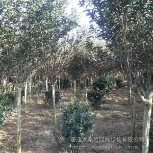�ؾ�5������ޱ���պ�۸����Ǯһ�÷羰����ޱС�����