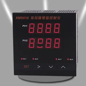 SY供型号:XMS616 库号:M178018双回路仪表(无变送)