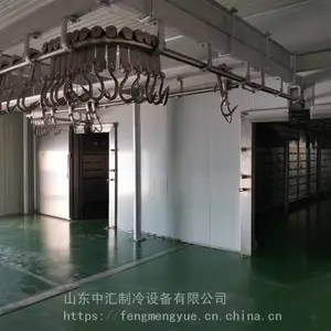 肉类解冻机 冷冻肉解冻设备