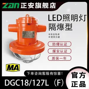浙江正安防爆矿用LED支架灯DGC18/127L(F)