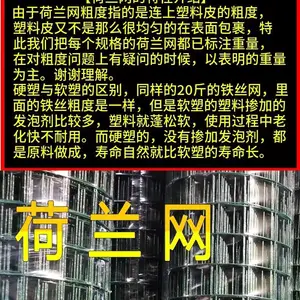 铁丝养殖围栏网 养鸡网栅栏防护网 荷兰网果园网电焊网 批售供应