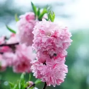�һ��硪�һ��硪�һ��硪�һ��硪�һ��硪�һ��硪�һ��硪�һ�