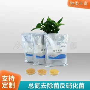 总氮去除方法-污水处理高效反硝化菌,节能高效,***
