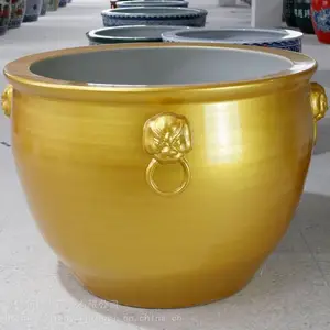 ��ɫ�մ�ʨ����ˮ�� �ɻ�������ͥԺ��� ����װڼ�����