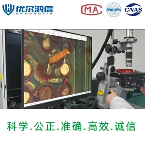 CSP芯片封装虚焊裂纹检测技术优尔鸿信红墨水染色试验