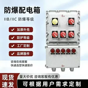 BXK防爆配电箱防爆动力配电控制箱仪表照明动力箱非标可订箱体