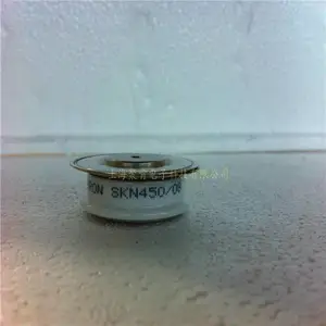 ֱ�������豸Ӧ�����ſ�SKN4000/02������ģ��SKN4000/04