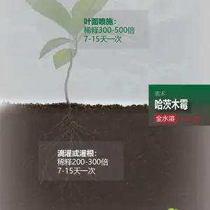 ��Ӧ�ݺ� ����ľù�� ȫˮ�ܿɵι����� 10��/�� ������������ֲ�ﲡ��