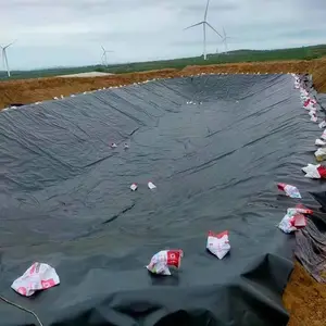 畜牧养殖场防渗膜 1.5mm调节池土工膜 清徐沼液池防渗膜