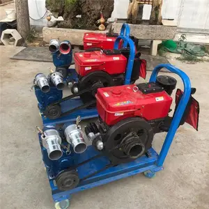 ���Ƴ�ʽ���� �������������� �ཬ������ˮ��***