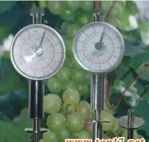 果实硬度测量计 浙江托普GY-2水果硬度计