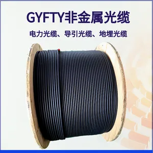 24芯导引光缆 GYFZTY-24B1 48芯管道光缆GYFTZY-48B1 非金属阻燃光缆